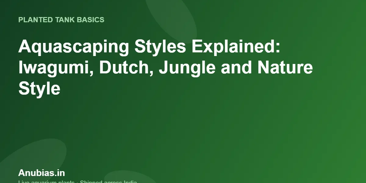 Aquascaping Styles Explained: Iwagumi, Dutch, Jungle and Nature Style – Anubias.in