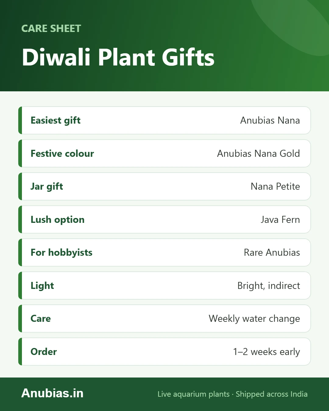 Diwali aquatic plant gift ideas: Anubias Nana, Nana Gold, Nana Petite, Java fern and rare Anubias with care tips