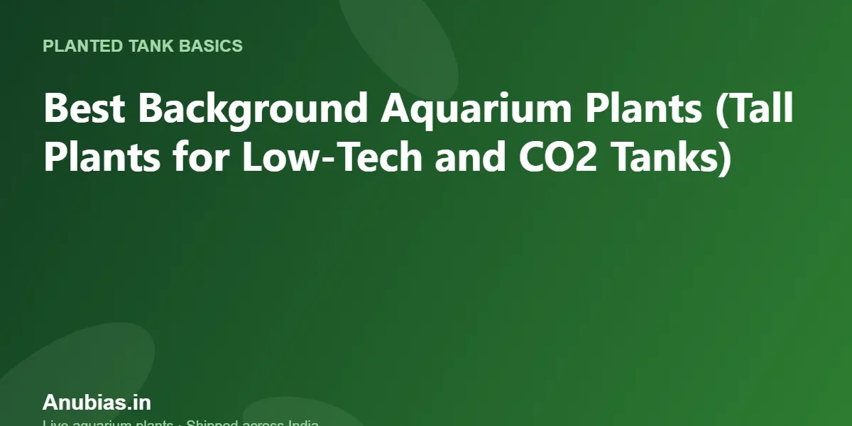 Best Background Aquarium Plants (Tall Plants for Low-Tech and CO2 Tanks) – Anubias.in