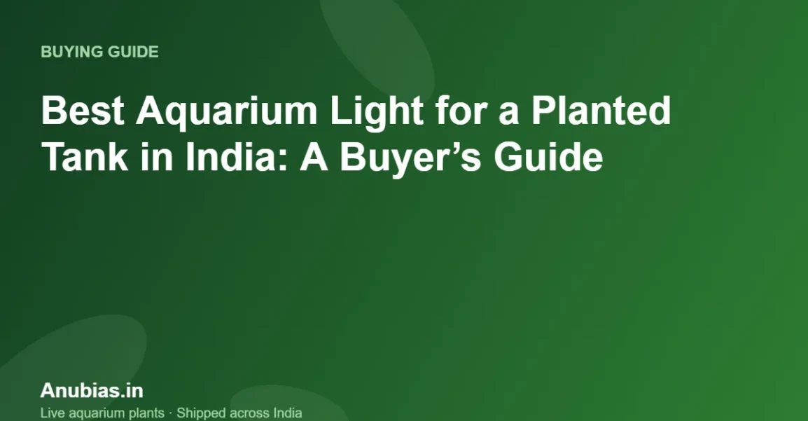 Best Aquarium Light for a Planted Tank in India: A Buyer’s Guide – Anubias.in