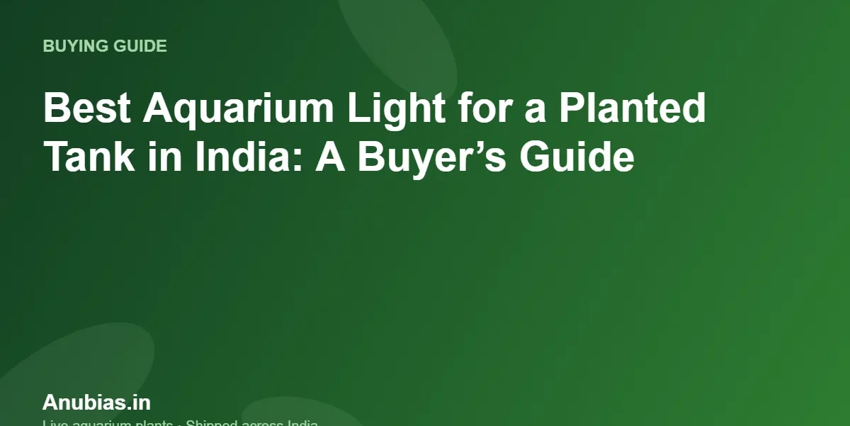 Best Aquarium Light for a Planted Tank in India: A Buyer’s Guide – Anubias.in