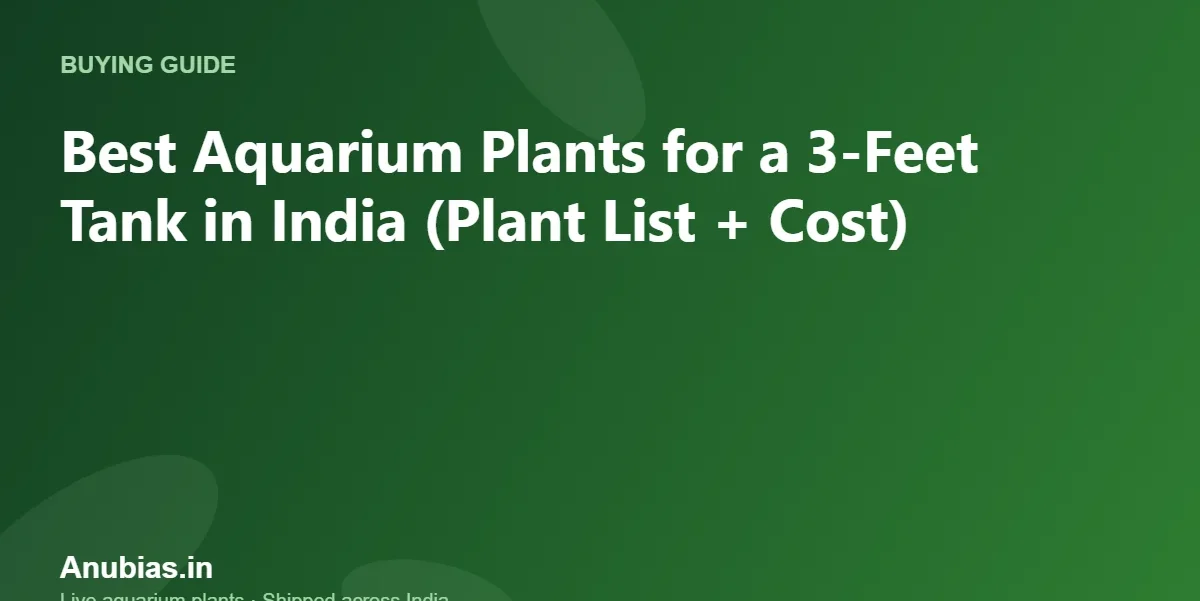 Best Aquarium Plants for a 3-Feet Tank in India (Plant List + Cost) – Anubias.in