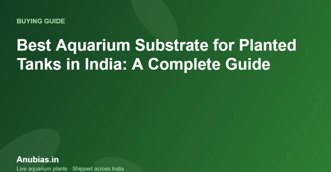 Best Aquarium Substrate for Planted Tanks in India: A Complete Guide – Anubias.in