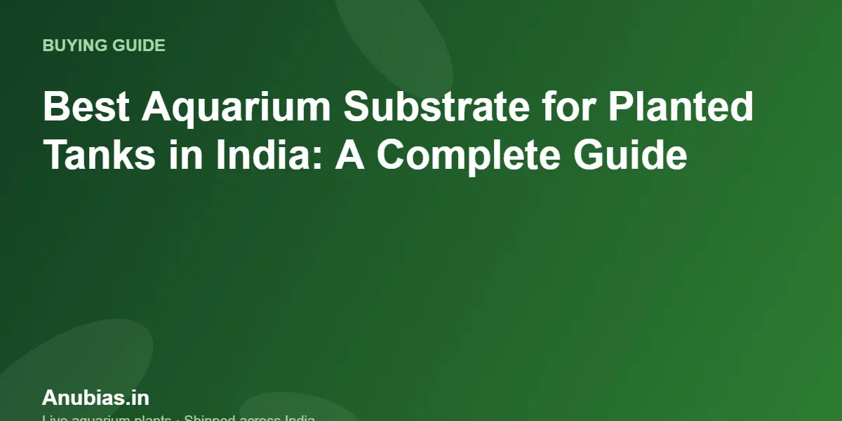 Best Aquarium Substrate for Planted Tanks in India: A Complete Guide – Anubias.in