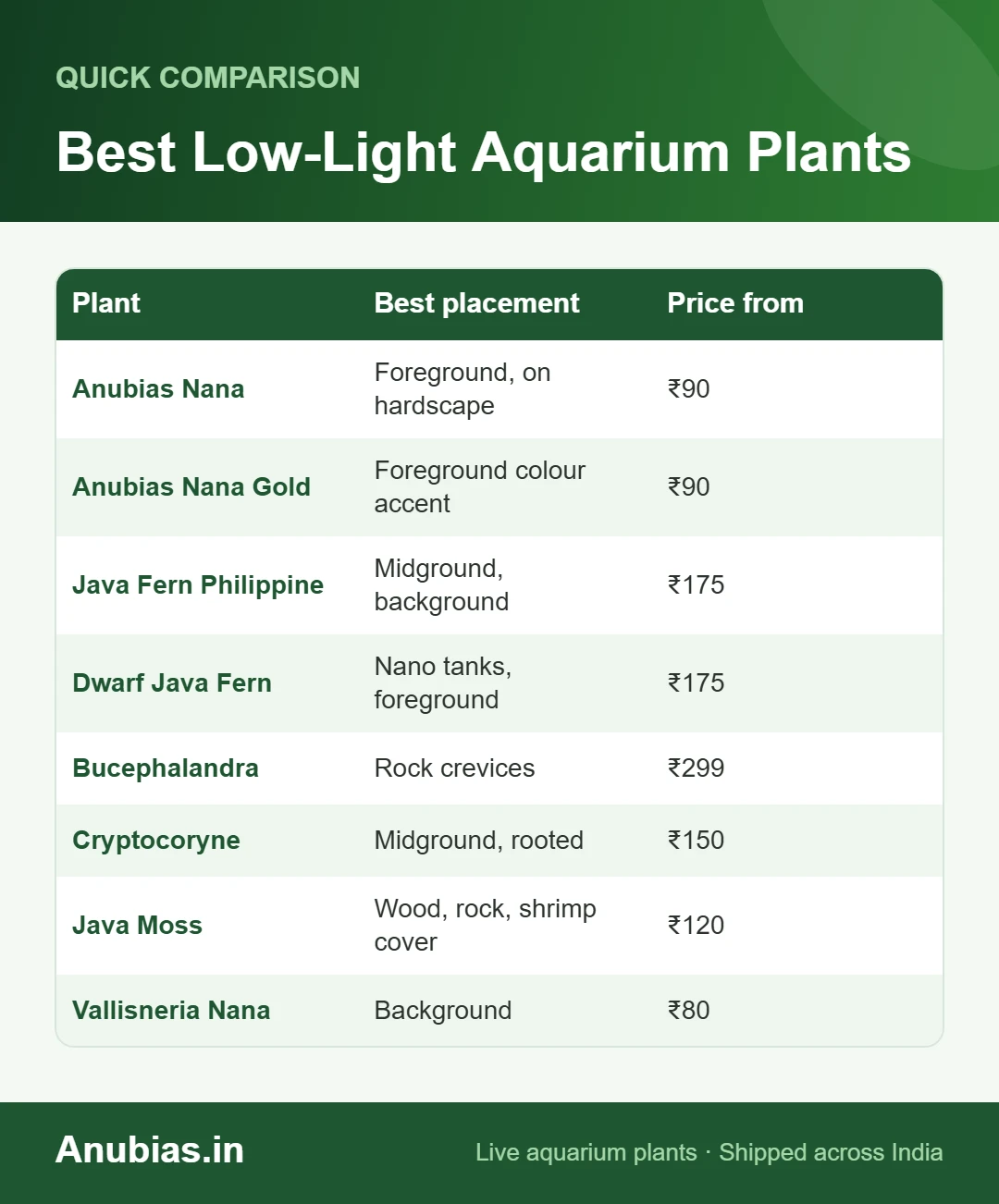 Chart of the best low-light aquarium plants in India with placement and prices