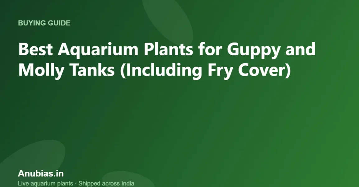 Best Aquarium Plants for Guppy and Molly Tanks (Including Fry Cover) – Anubias.in