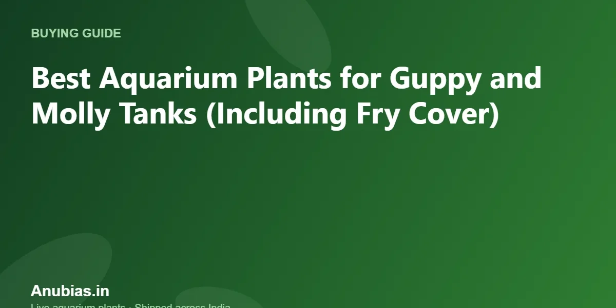 Best Aquarium Plants for Guppy and Molly Tanks (Including Fry Cover) – Anubias.in