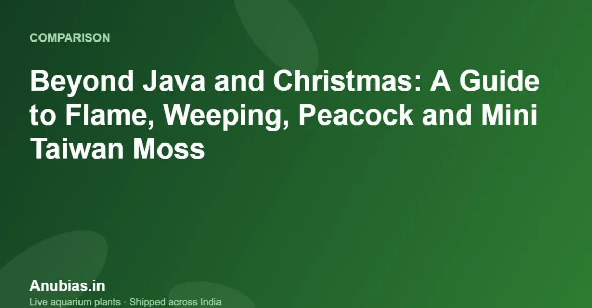 Beyond Java and Christmas: A Guide to Flame, Weeping, Peacock and Mini Taiwan Moss – Anubias.in