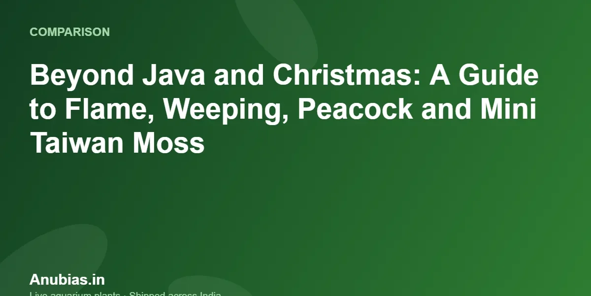 Beyond Java and Christmas: A Guide to Flame, Weeping, Peacock and Mini Taiwan Moss – Anubias.in