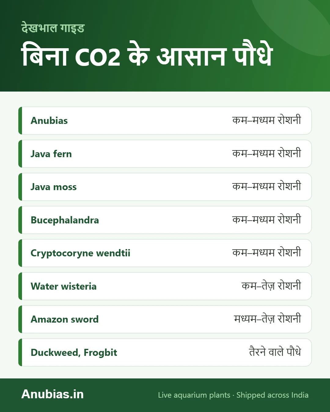 बिना CO2 के उगने वाले आसान एक्वेरियम पौधों की सूची