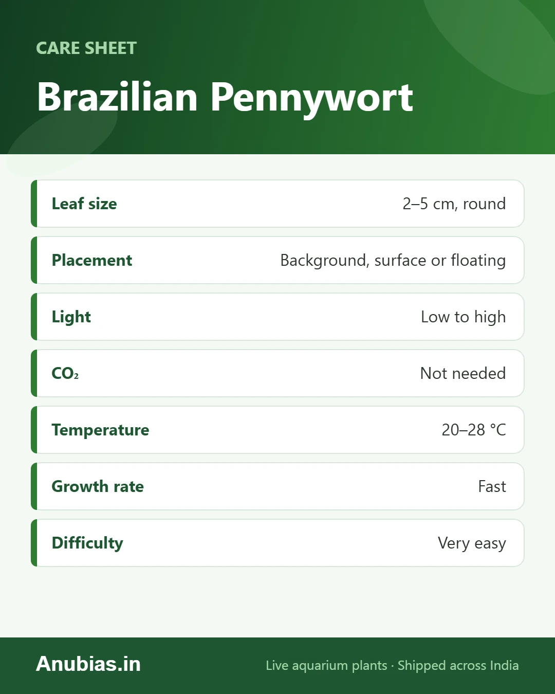 Brazilian Pennywort care sheet: Leaf size, Placement, Light, CO₂ and more