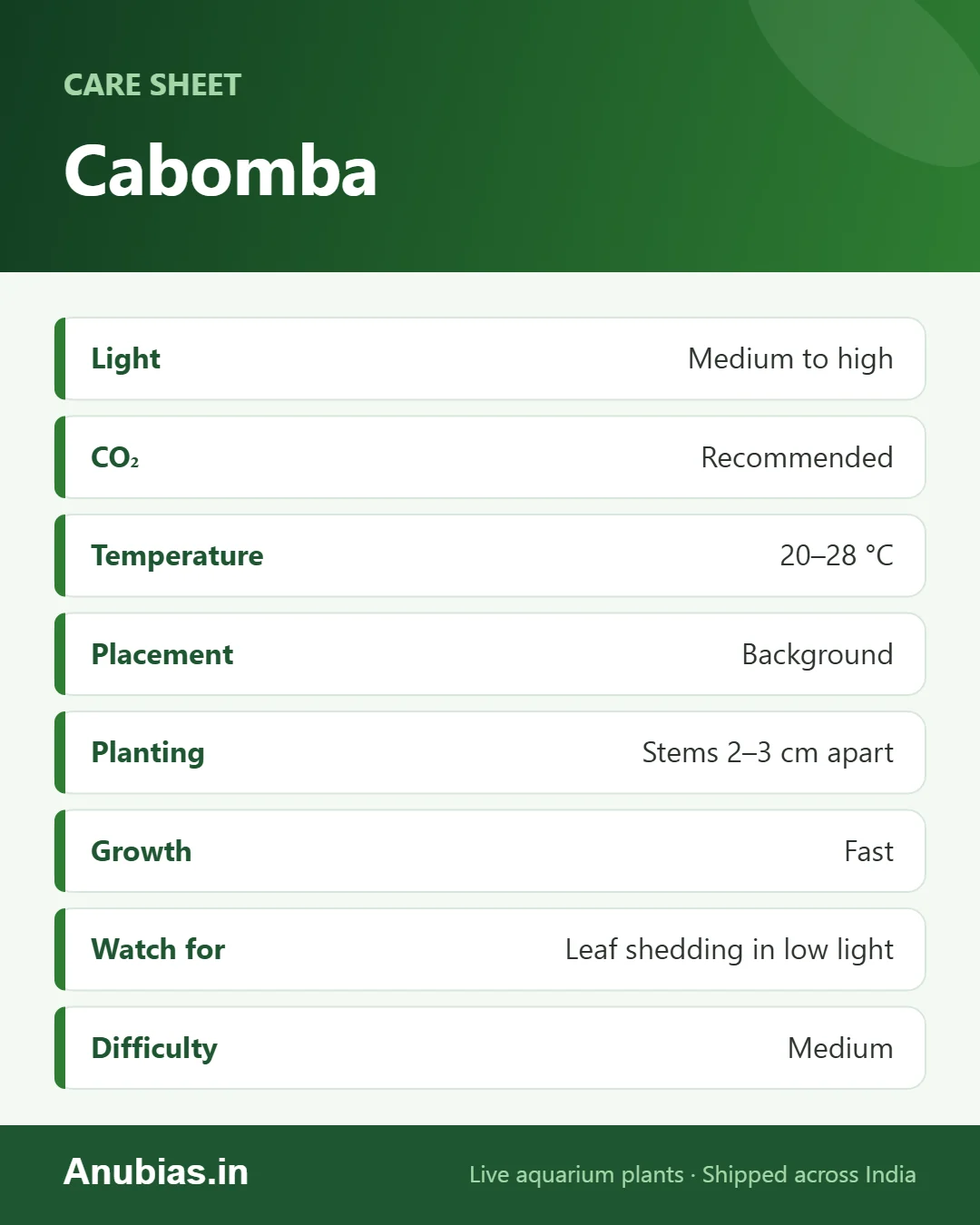 Cabomba care sheet: Light, pH, Placement, Planting and more