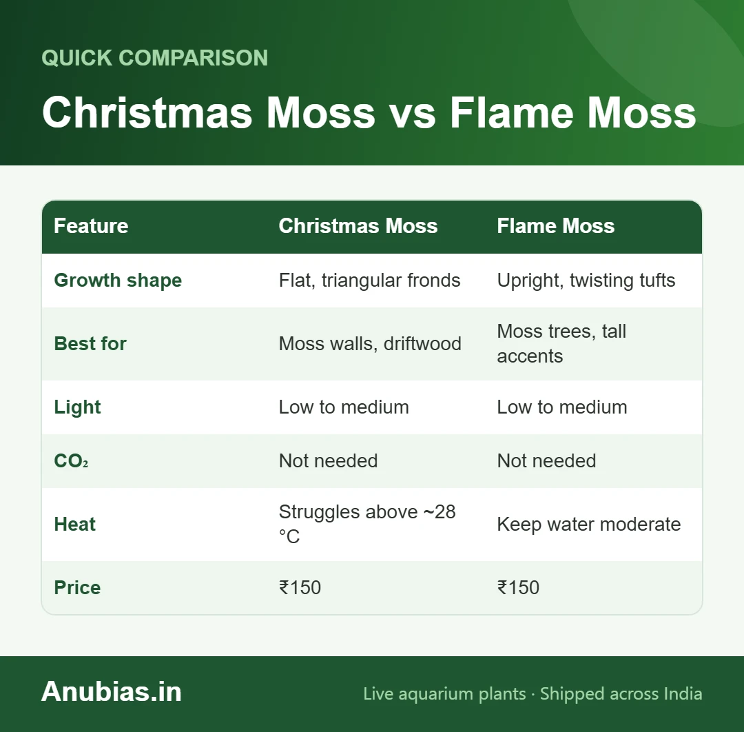 Comparison chart of Christmas moss and Flame moss