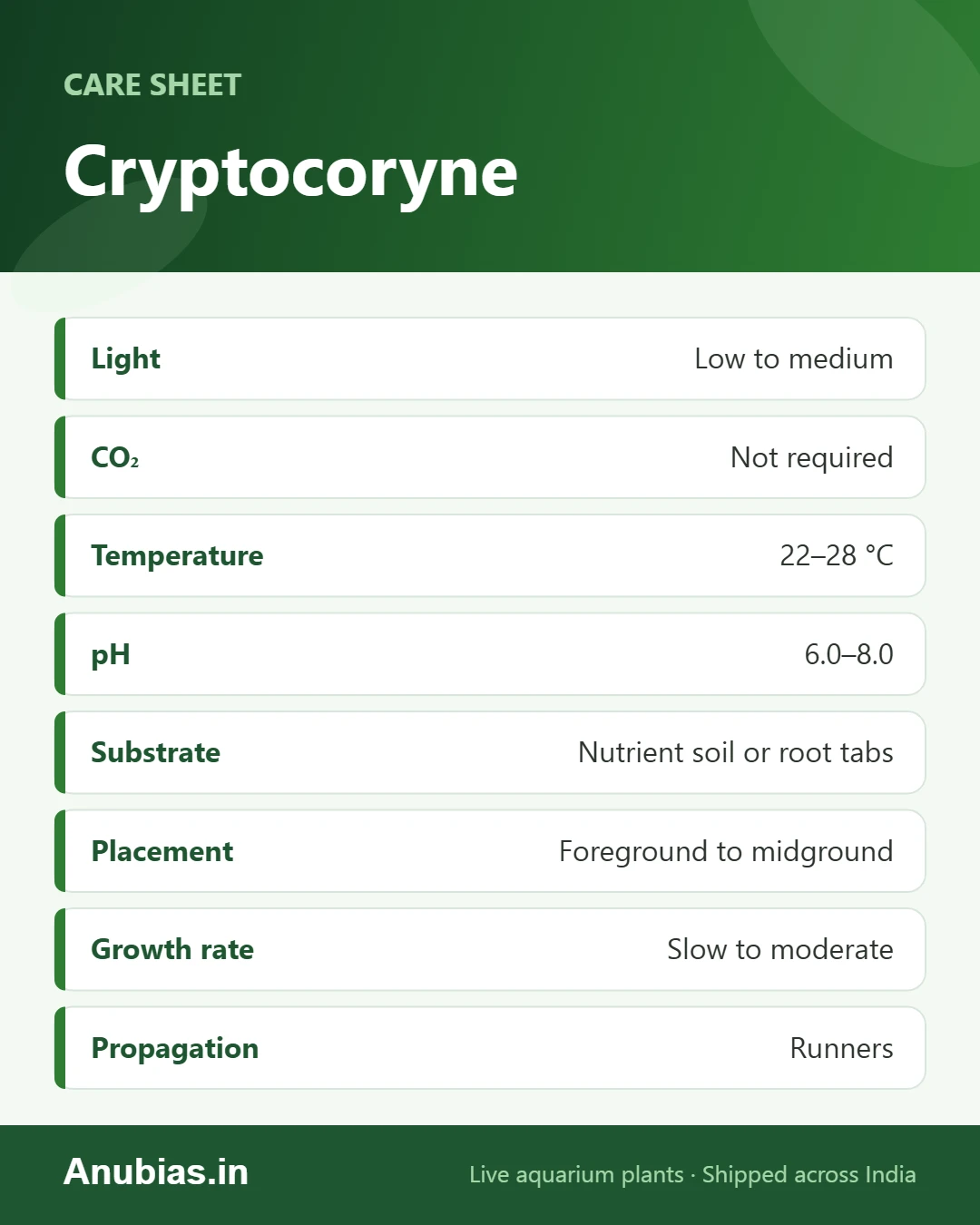 Cryptocoryne care sheet: Light, CO₂, Temperature, pH and more