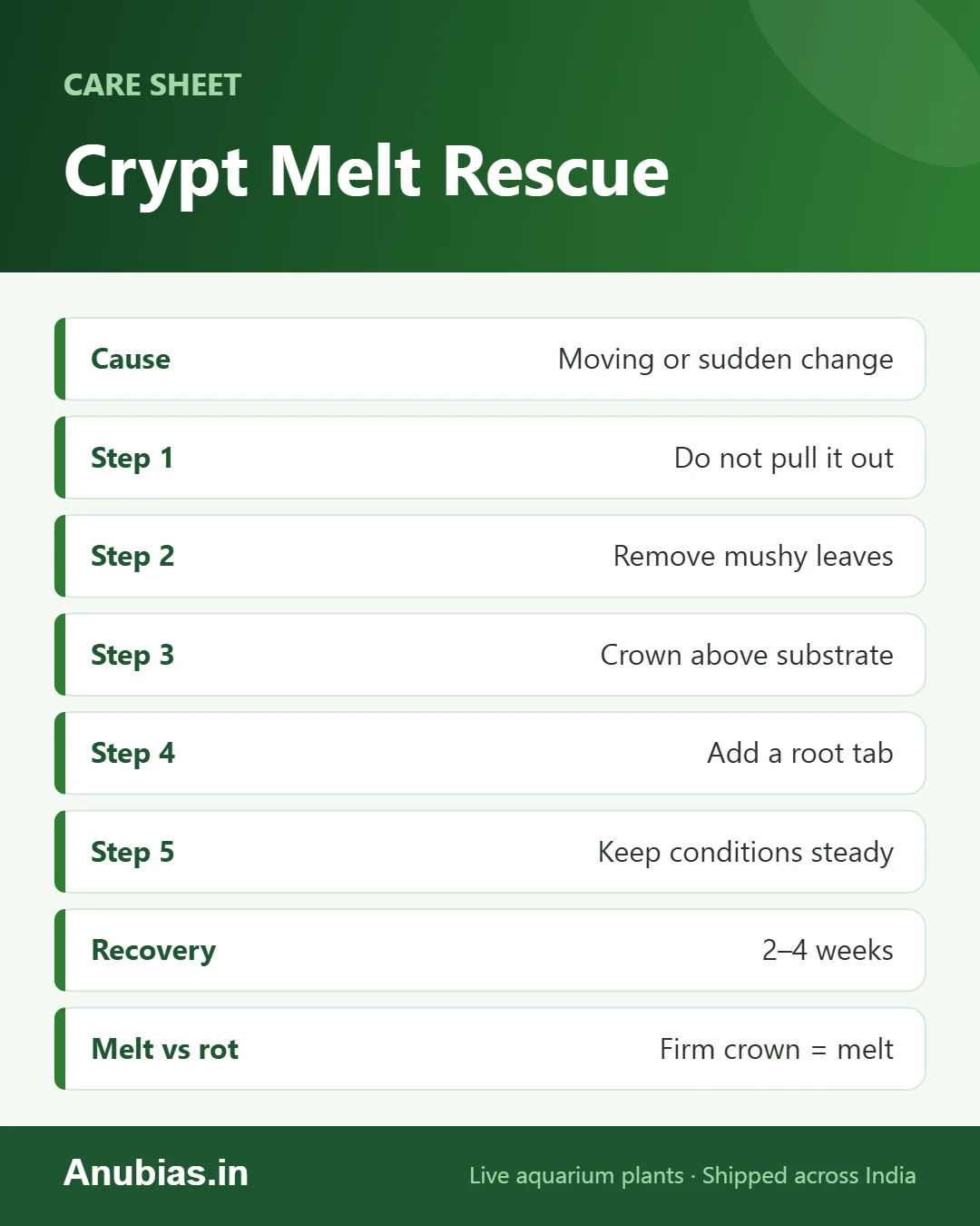 Crypt melt rescue sheet: cause, steps and recovery time