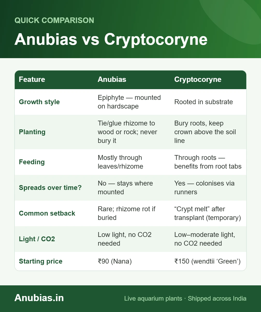 Anubias vs Cryptocoryne chart: Anubias, Cryptocoryne compared
