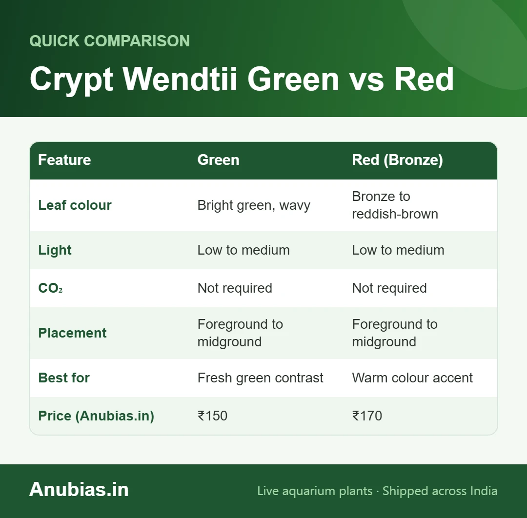 Cryptocoryne wendtii Green vs Red comparison chart: colour, light, CO2, placement and price