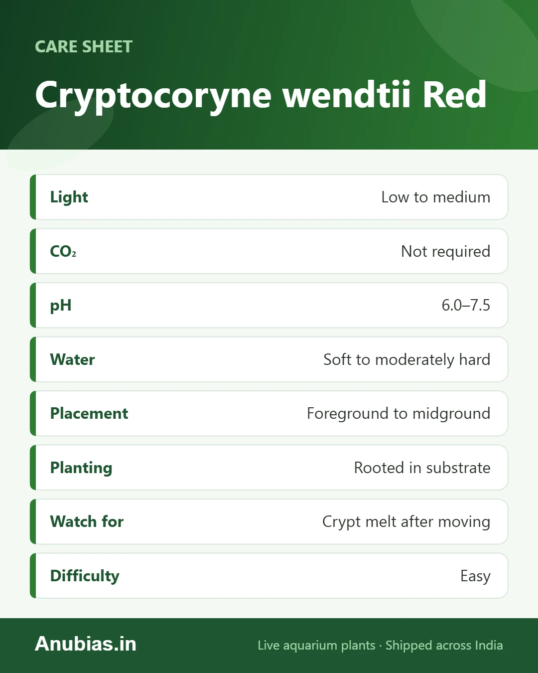 Cryptocoryne wendtii Red care sheet: Light, CO₂, pH, Water and more