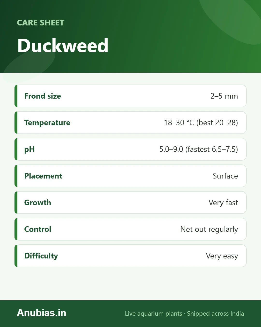 Duckweed care sheet: Frond size, Temperature, pH, Placement and more
