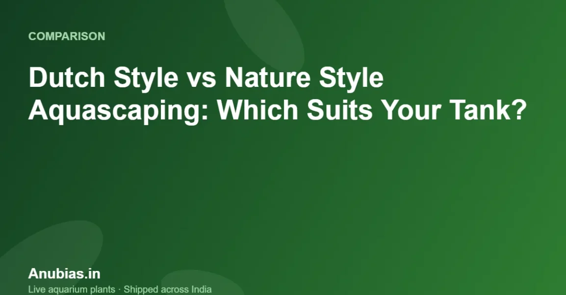 Dutch Style vs Nature Style Aquascaping: Which Suits Your Tank? – Anubias.in