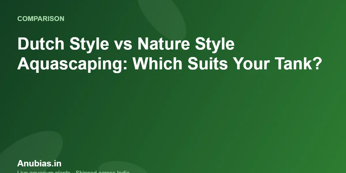Dutch Style vs Nature Style Aquascaping: Which Suits Your Tank? – Anubias.in