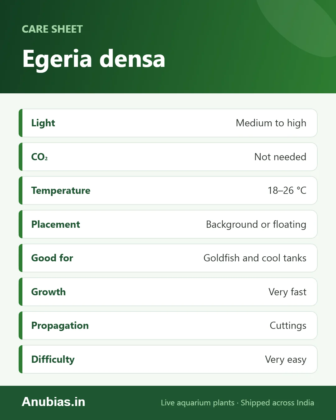 Egeria densa care sheet: Light, CO₂, Temperature, Placement and more