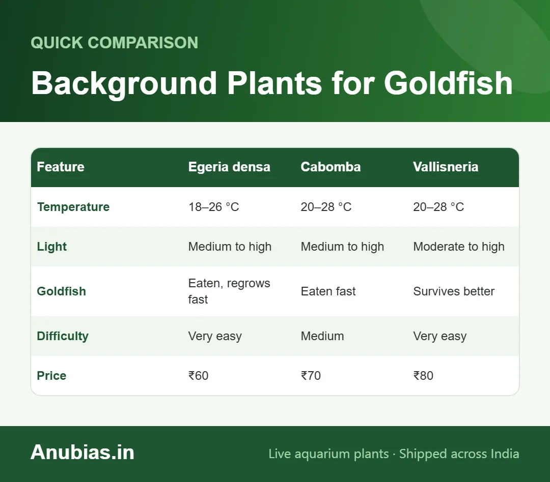 Chart comparing Egeria densa, Cabomba and Vallisneria for goldfish tanks