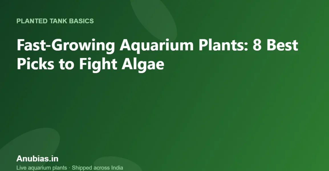 Fast-Growing Aquarium Plants: 8 Best Picks to Fight Algae – Anubias.in