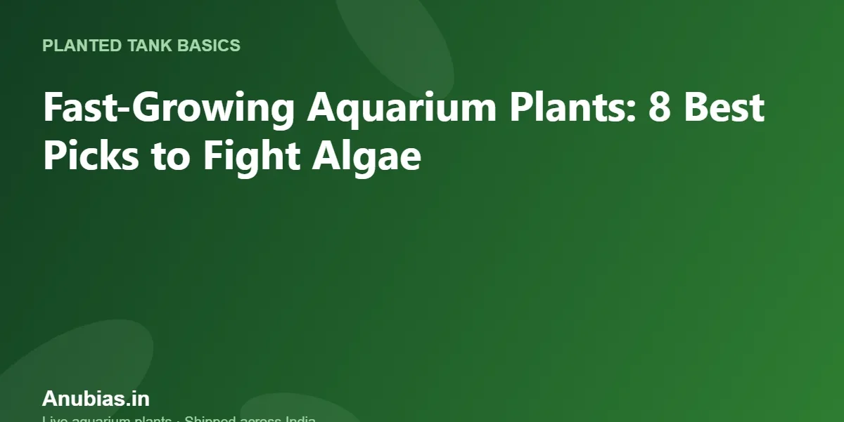 Fast-Growing Aquarium Plants: 8 Best Picks to Fight Algae – Anubias.in