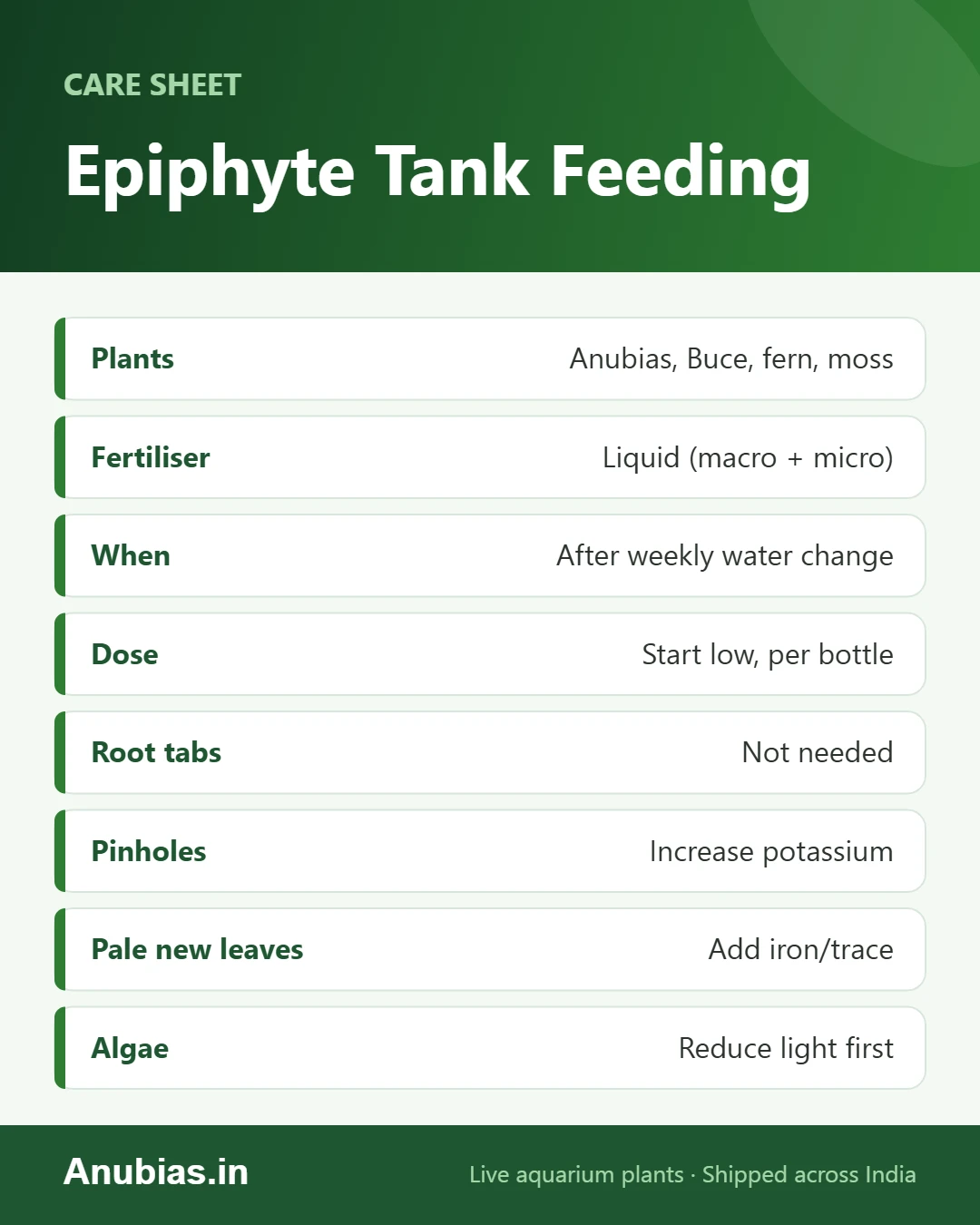Fertiliser schedule sheet for low-tech Anubias and Bucephalandra tanks
