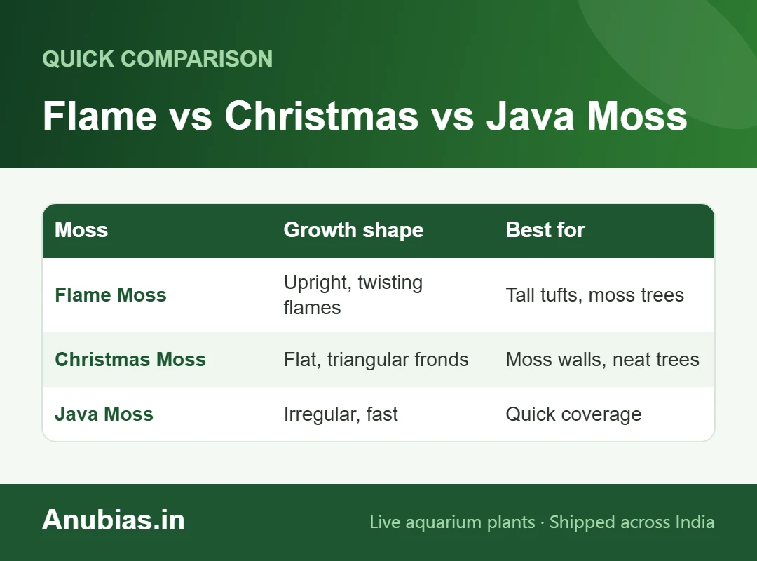 Chart comparing Flame, Christmas and Java moss growth shape and best uses
