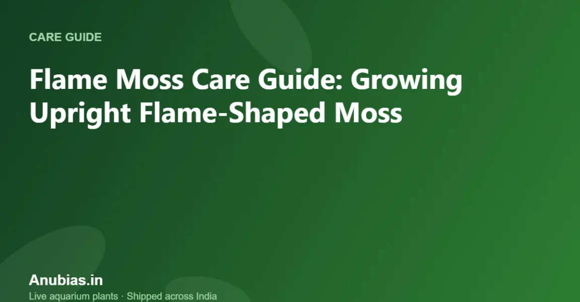 Flame Moss Care Guide: Growing Upright Flame-Shaped Moss – Anubias.in