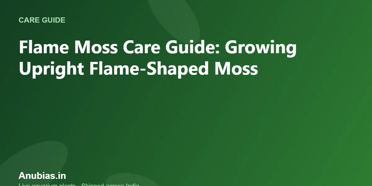 Flame Moss Care Guide: Growing Upright Flame-Shaped Moss – Anubias.in