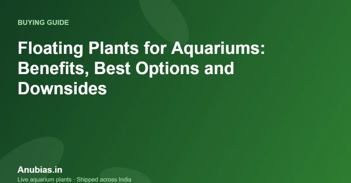 Floating Plants for Aquariums: Benefits, Best Options and Downsides – Anubias.in