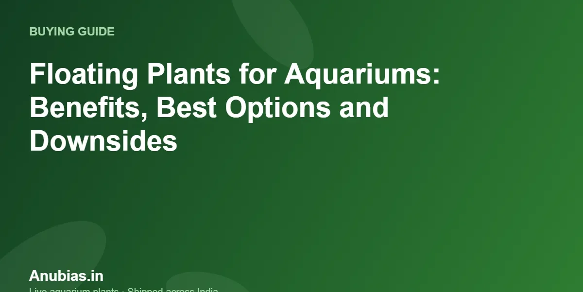 Floating Plants for Aquariums: Benefits, Best Options and Downsides – Anubias.in