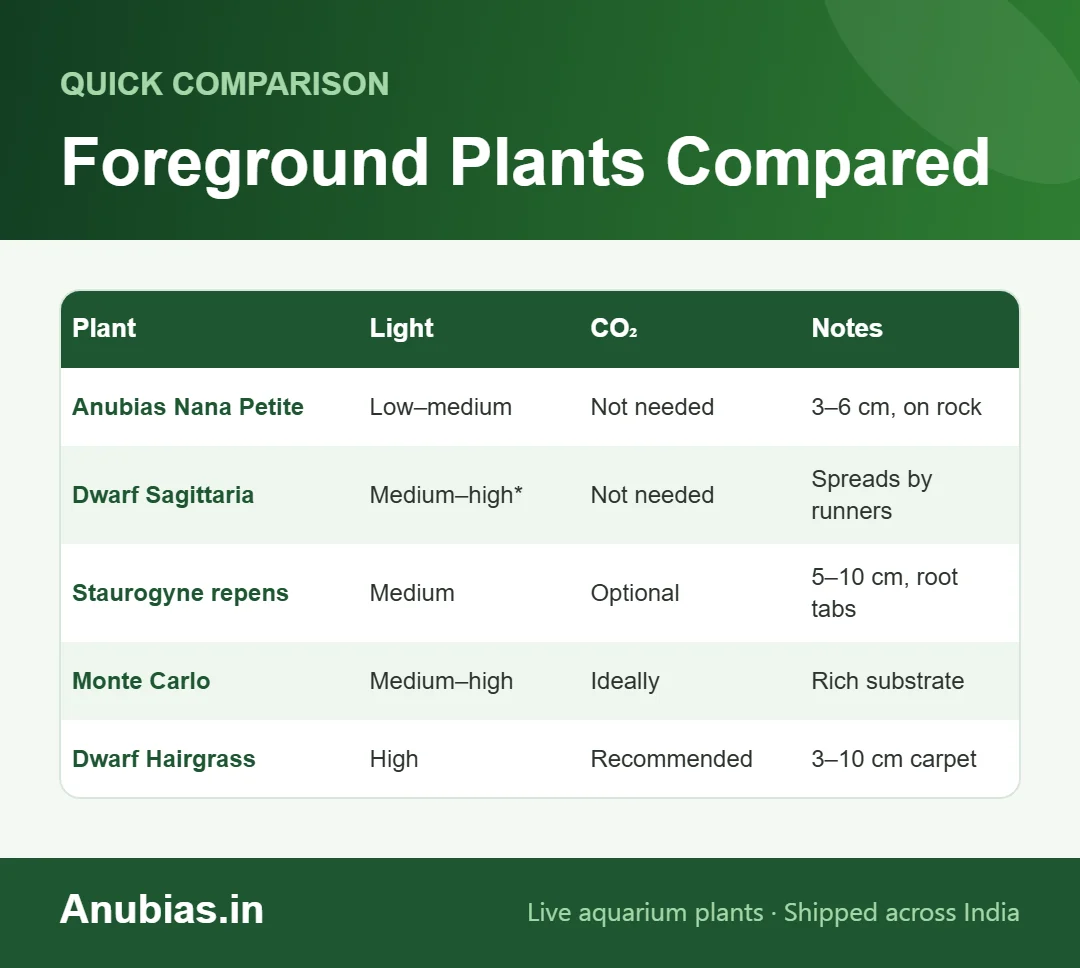 Chart comparing foreground aquarium plants by light and CO2