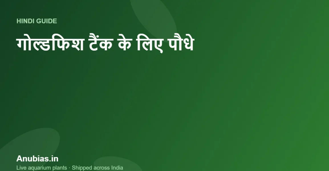 गोल्डफिश टैंक के लिए सबसे अच्छे पौधे (जो खाए न जाएं) Hindi गाइड – Anubias.in