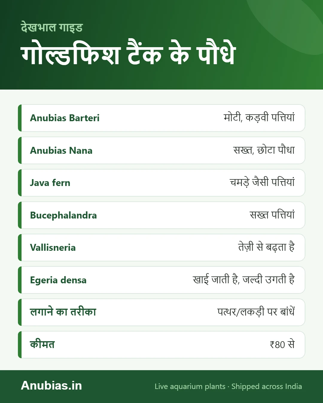 गोल्डफिश टैंक के लिए पौधे इन्फोग्राफिक