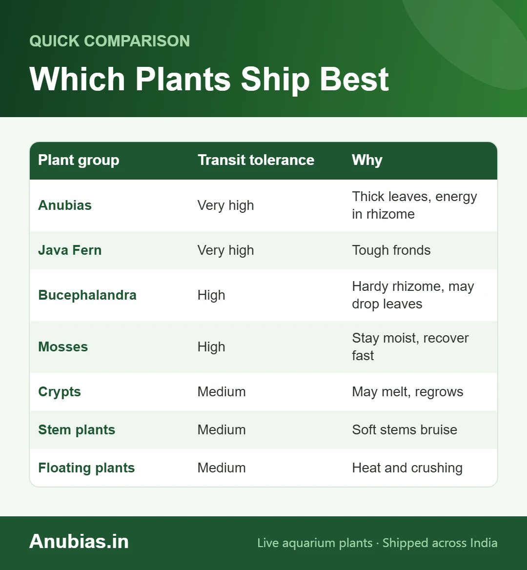 Chart of which aquarium plants survive shipping best: Anubias, Java fern, Buce, mosses, Crypts, stem and floating plants