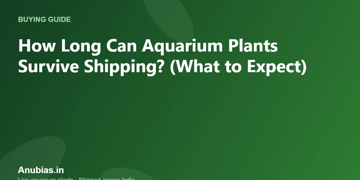 How Long Can Aquarium Plants Survive Shipping? (What to Expect) – Anubias.in