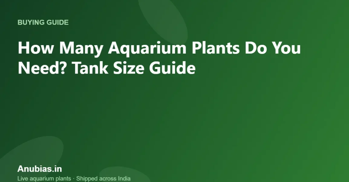 How Many Aquarium Plants Do You Need? Tank Size Guide – Anubias.in
