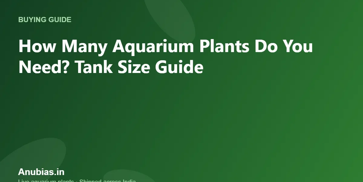 How Many Aquarium Plants Do You Need? Tank Size Guide – Anubias.in