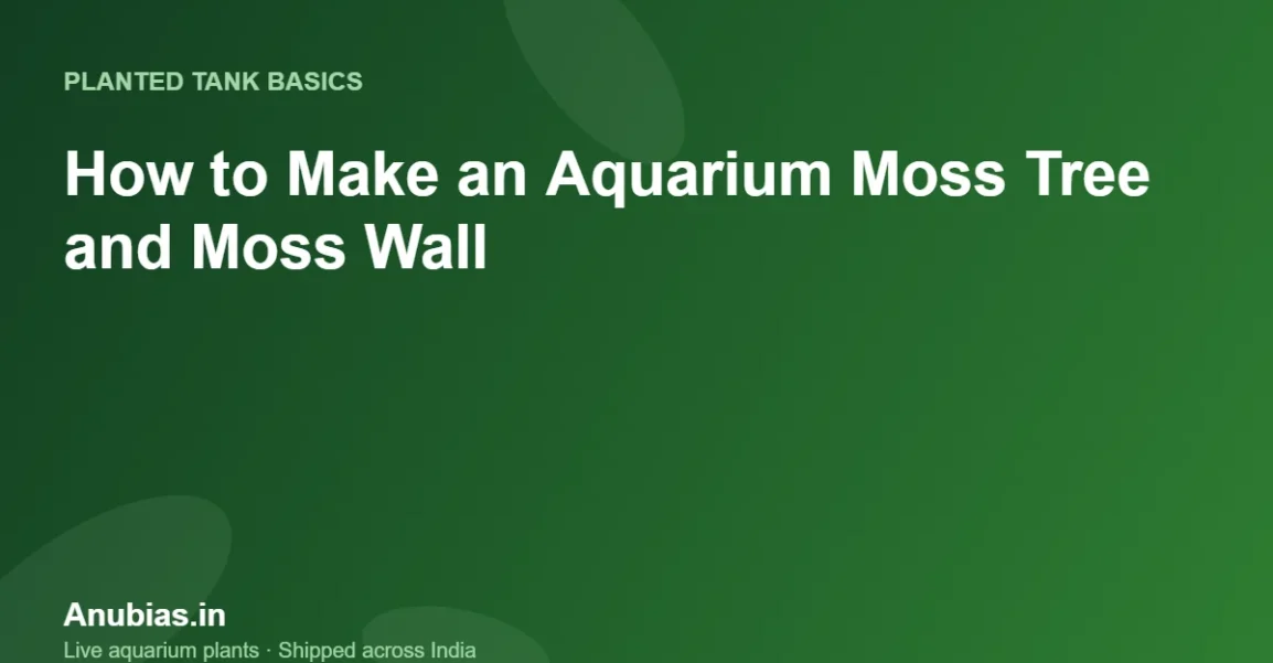 How to make an aquarium moss tree and moss wall – Anubias.in