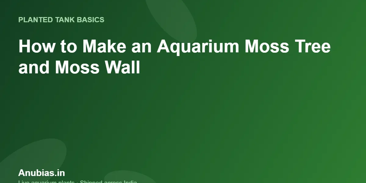 How to make an aquarium moss tree and moss wall – Anubias.in