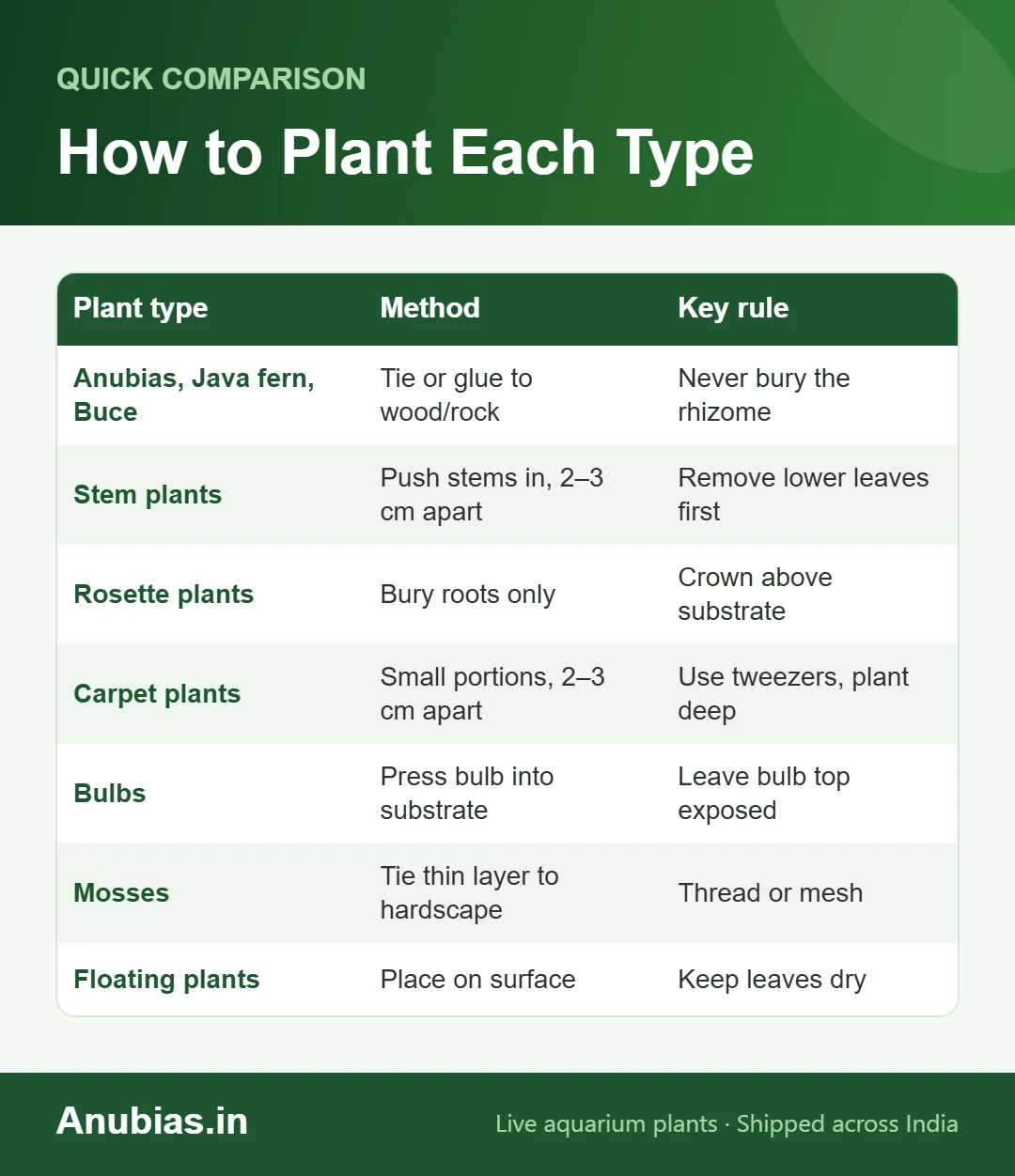 Chart showing how to plant each type of aquarium plant