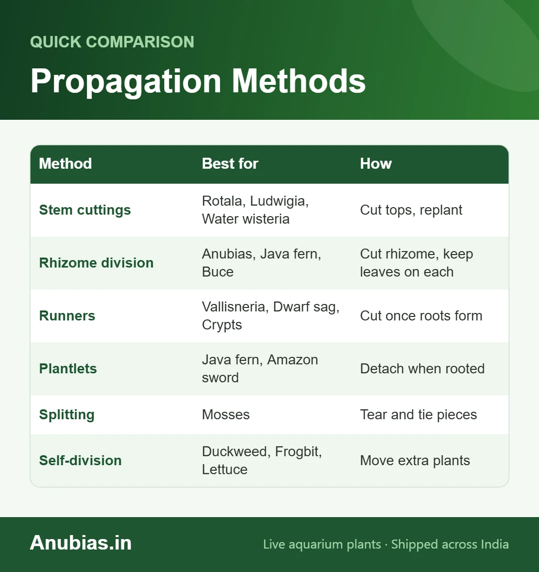 Chart of aquarium plant propagation methods by plant type