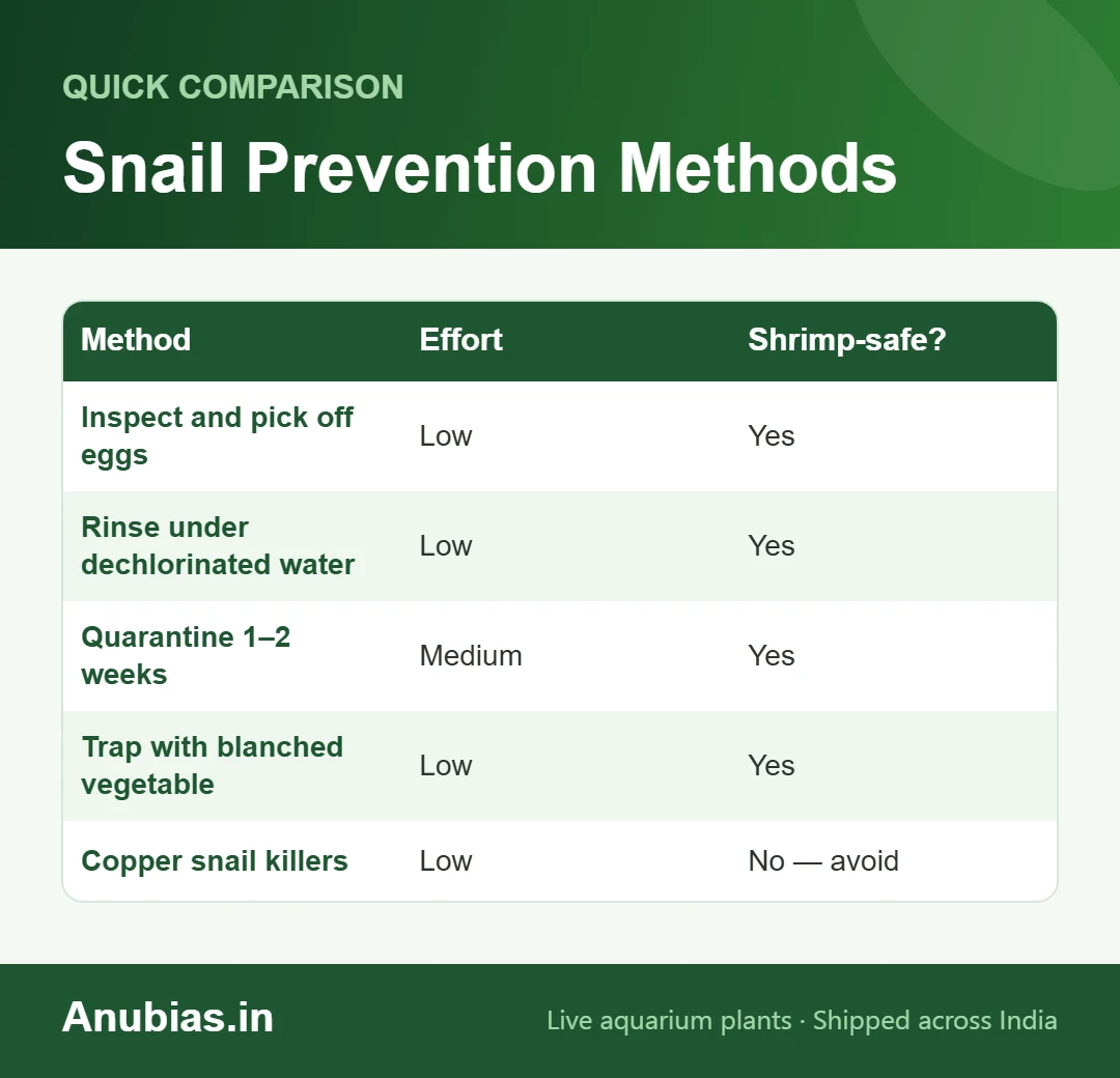 Chart comparing ways to keep pest snails off new aquarium plants