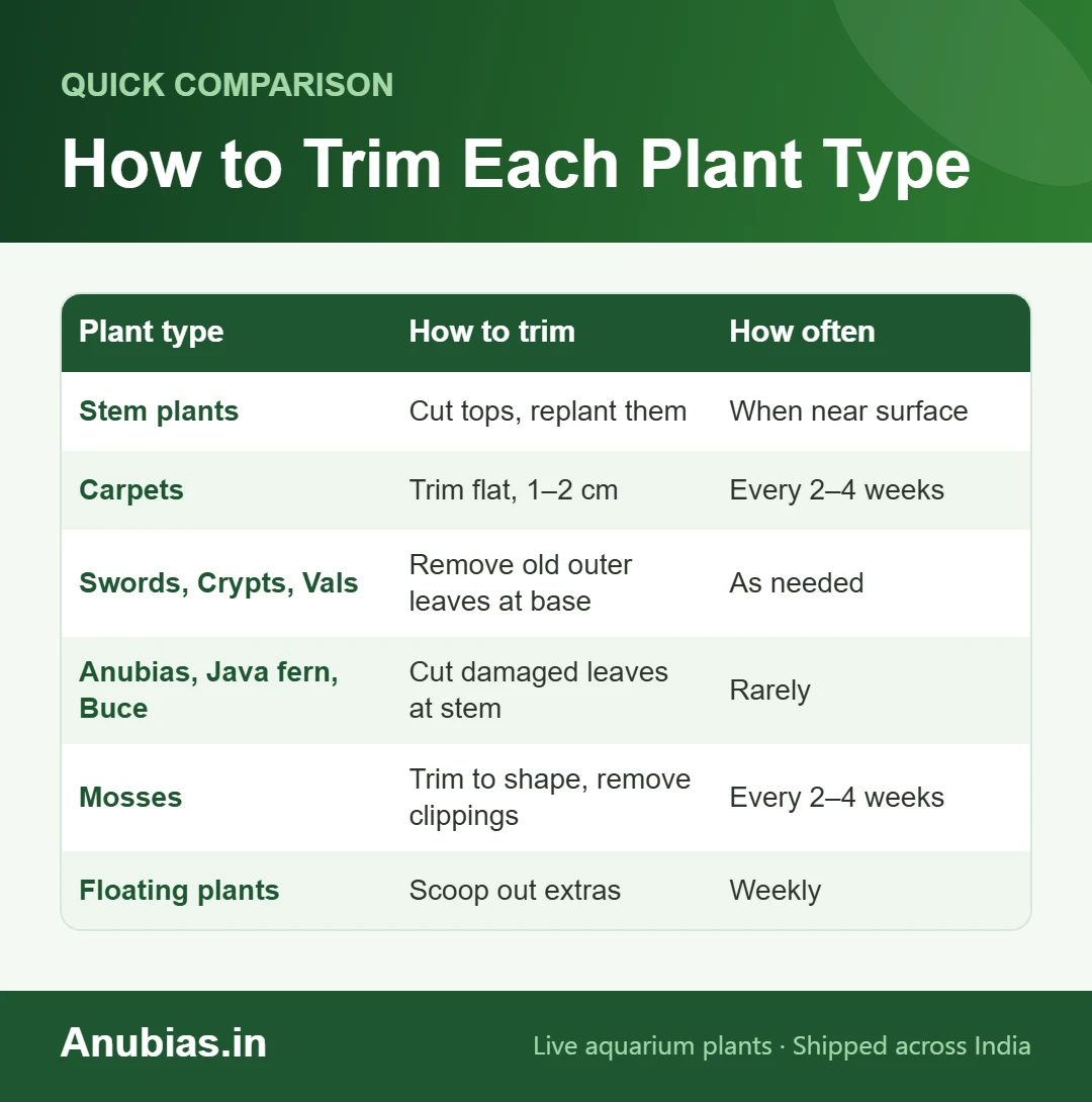 Chart of how and how often to trim stem plants, carpets, rosette plants, epiphytes, mosses and floating plants