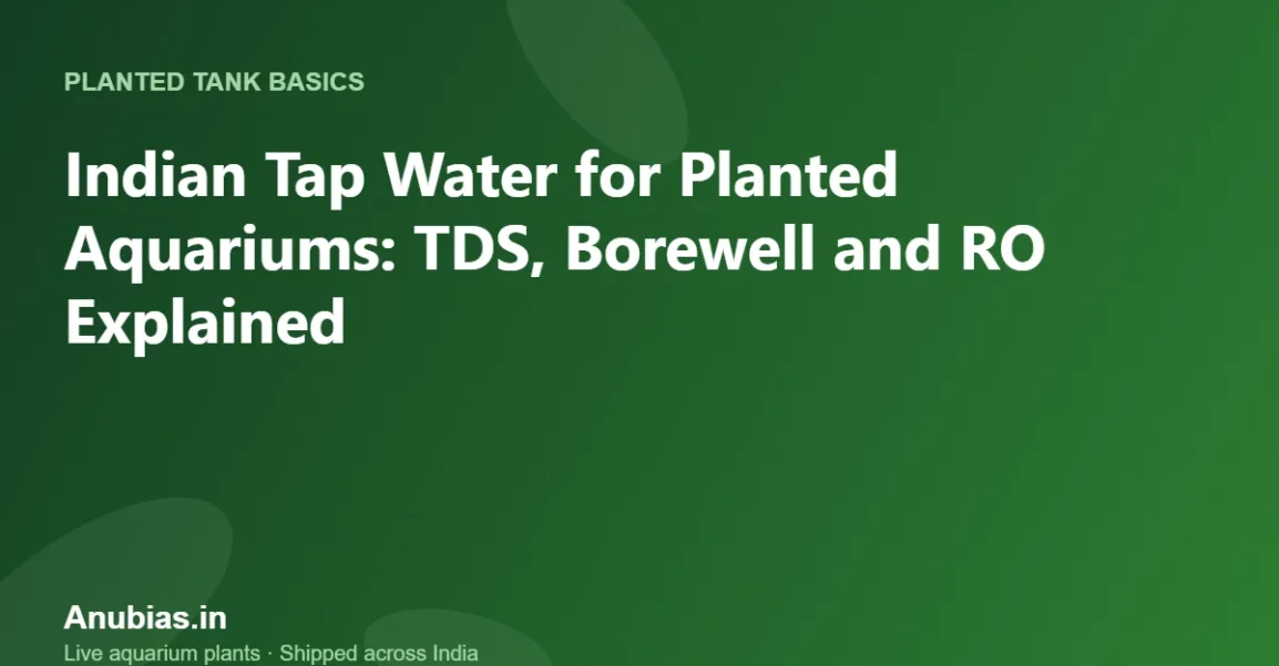 Indian Tap Water for Planted Aquariums: TDS, Borewell and RO Explained – Anubias.in