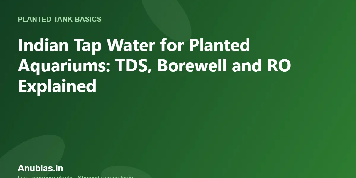 Indian Tap Water for Planted Aquariums: TDS, Borewell and RO Explained – Anubias.in